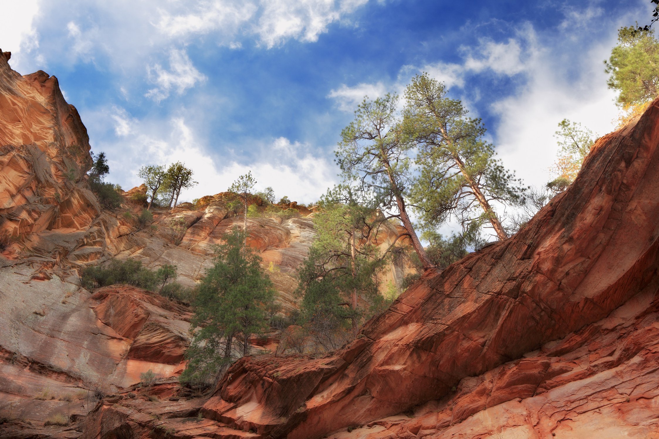 Corner Canyon Sedona Arizona